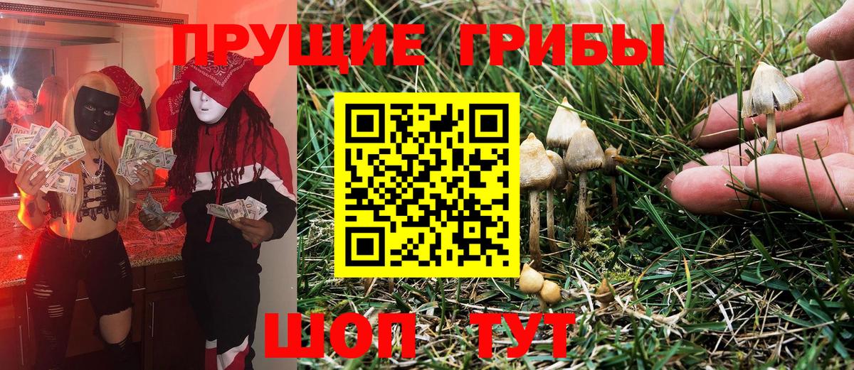 Псилоцибиновые грибы MAGIC MUSHROOMS  Вход с VPN  Знаменск 