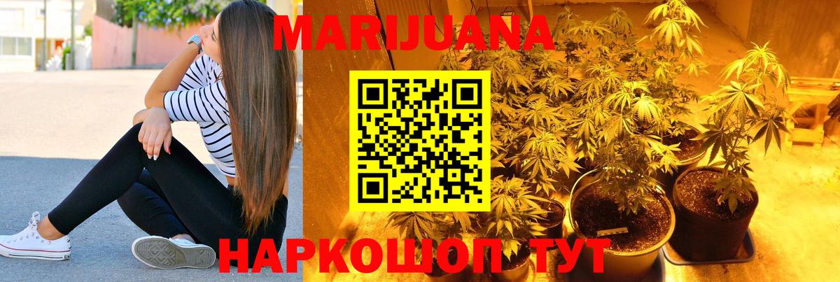 Шишки марихуана конопля Знаменск